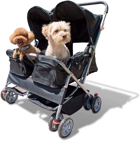Tips for finding the perfect pet carrier for your pet's personality